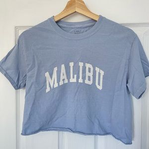 Brandy Melville blue Malibu cropped t shirt